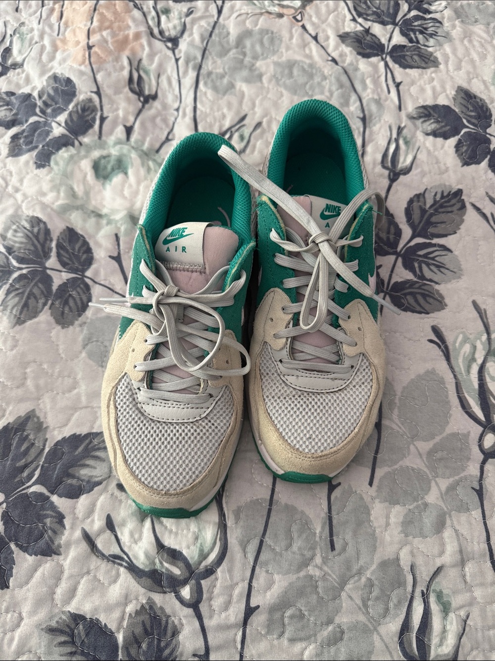 Nike Air Max Sneakers